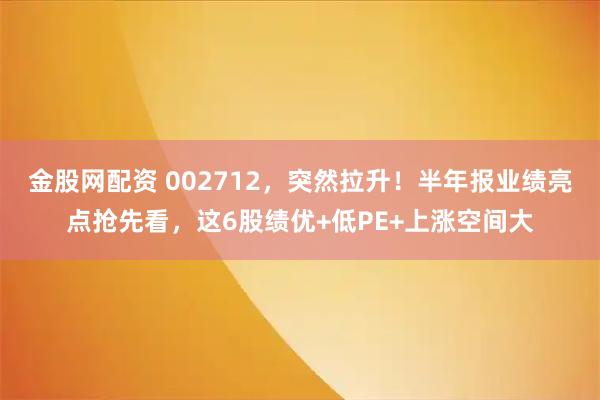 金股网配资 002712，突然拉升！半年报业绩亮点抢先看，这6股绩优+低PE+上涨空间大