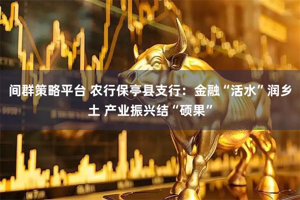 间群策略平台 农行保亭县支行：金融“活水”润乡土 产业振兴结“硕果”