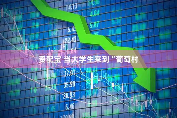 资配宝 当大学生来到“葡萄村