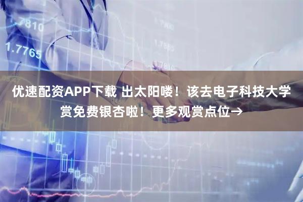 优速配资APP下载 出太阳喽！该去电子科技大学赏免费银杏啦！更多观赏点位→