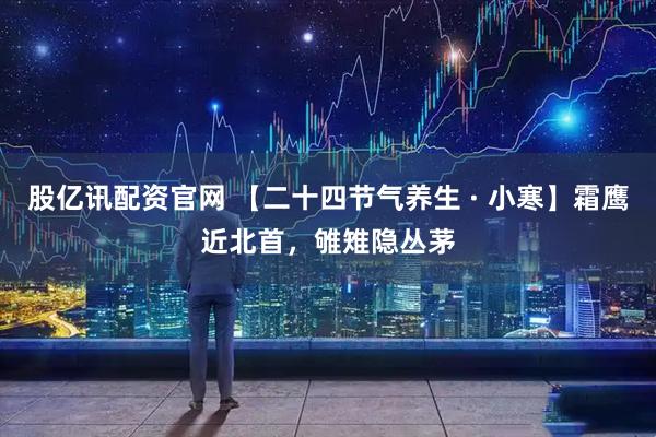 股亿讯配资官网 【二十四节气养生 · 小寒】霜鹰近北首，雊雉隐丛茅