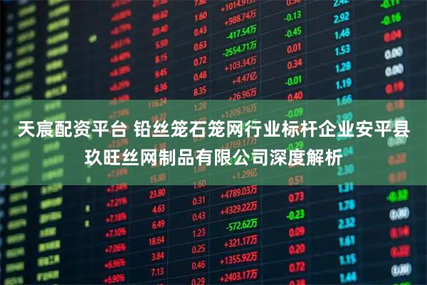 天宸配资平台 铅丝笼石笼网行业标杆企业安平县玖旺丝网制品有限公司深度解析