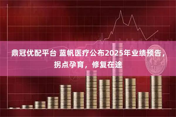 鼎冠优配平台 蓝帆医疗公布2025年业绩预告，拐点孕育，修复在途