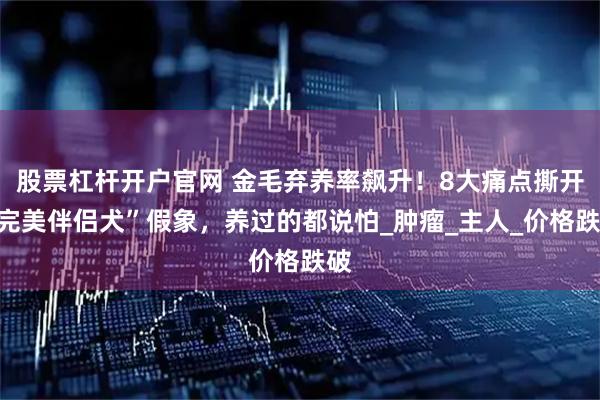 股票杠杆开户官网 金毛弃养率飙升！8大痛点撕开“完美伴侣犬”假象，养过的都说怕_肿瘤_主人_价格跌破