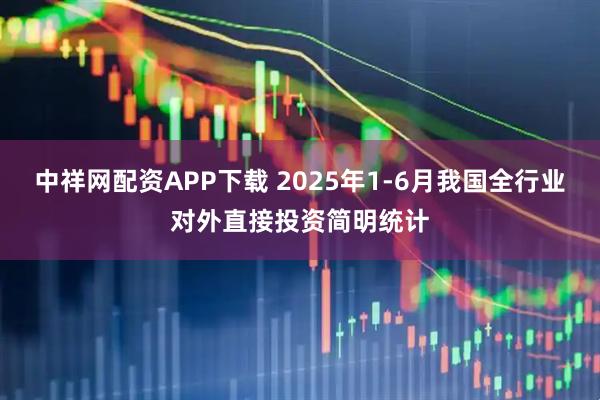 中祥网配资APP下载 2025年1-6月我国全行业对外直接投资简明统计