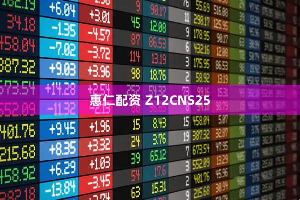 惠仁配资 Z12CNS25