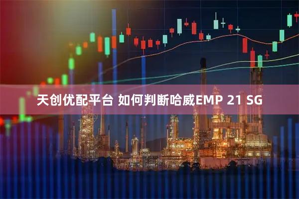 天创优配平台 如何判断哈威EMP 21 SG
